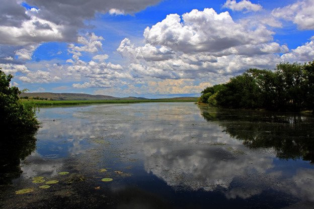 Parry Lagoons Nature Reserve-库努纳拉必去景点