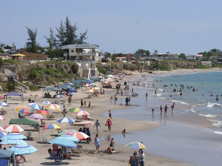 Playa de Ballenita景点图片