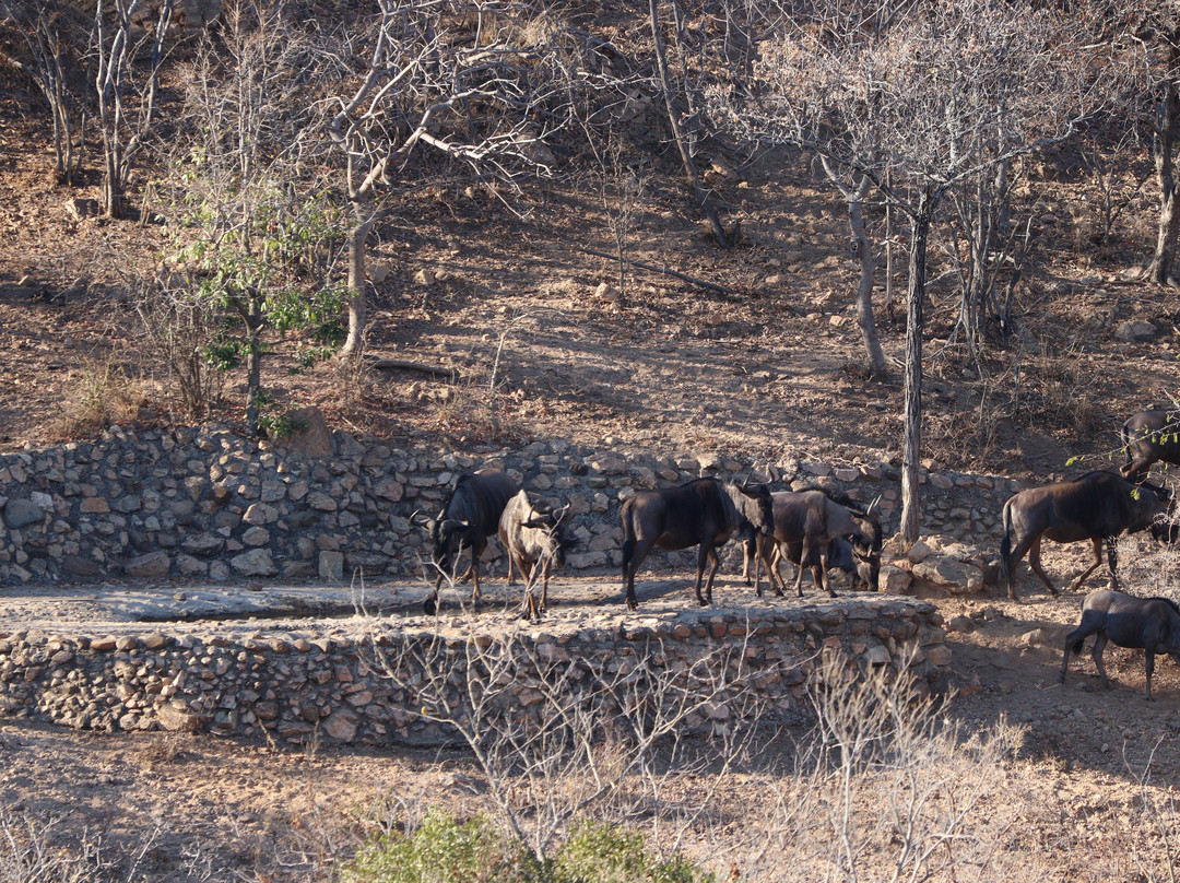 umVangati House主图