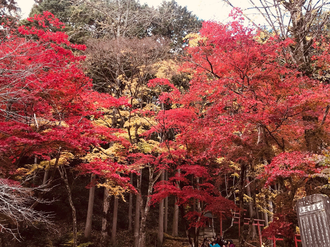 Dokoji Temple-丹波篠山必去景点