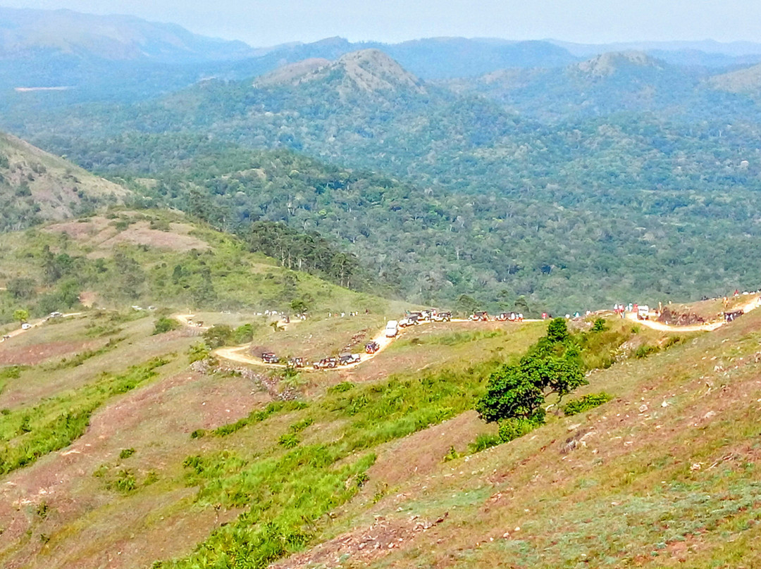 Mangala Devi Temple景点图片