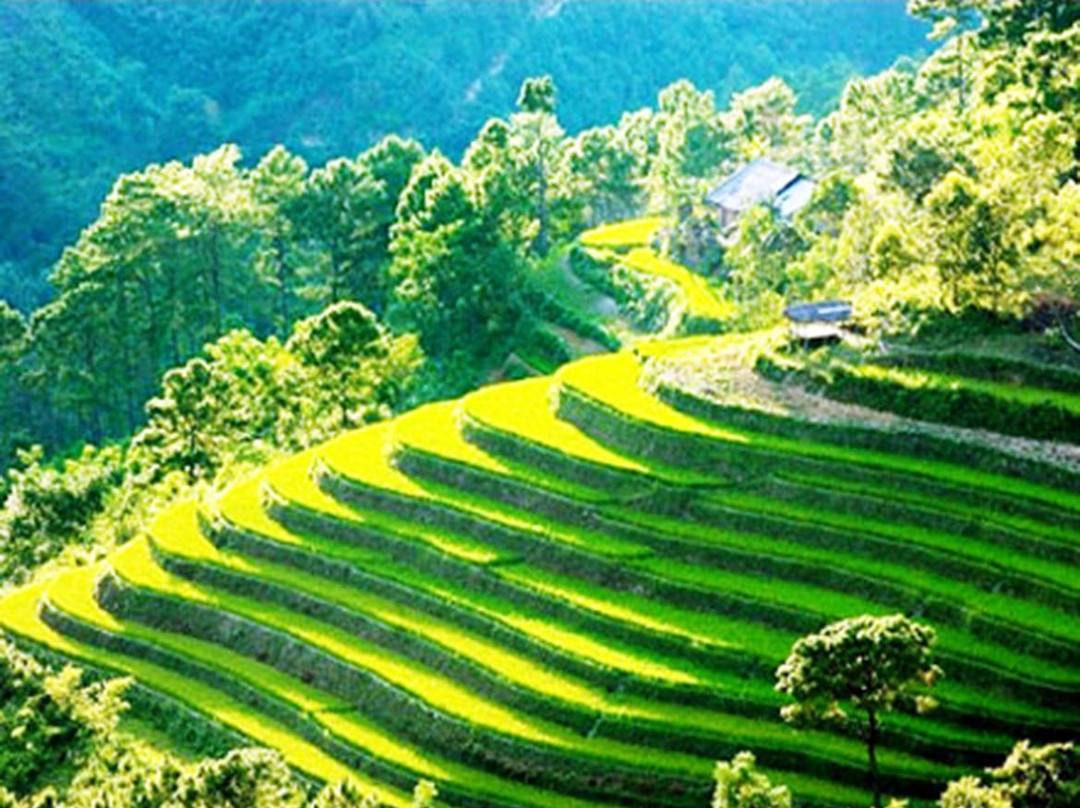 Bac Ha Tourist景点图片