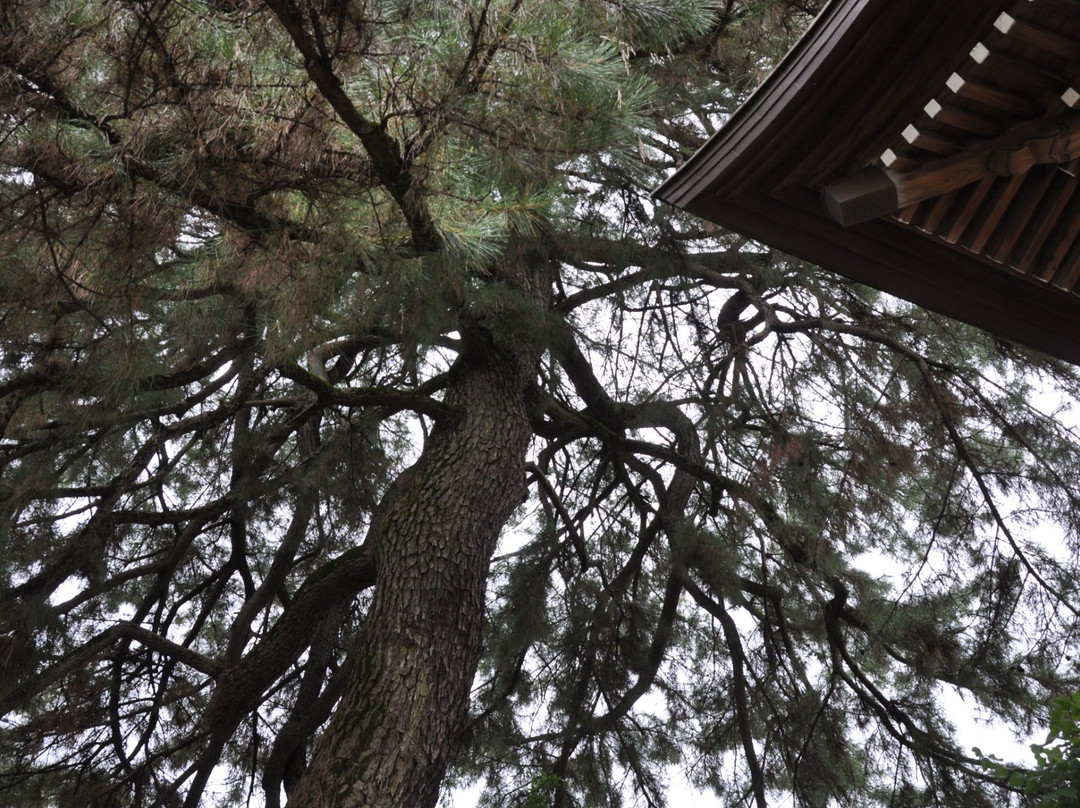 Kofuku-ji Temple景点图片