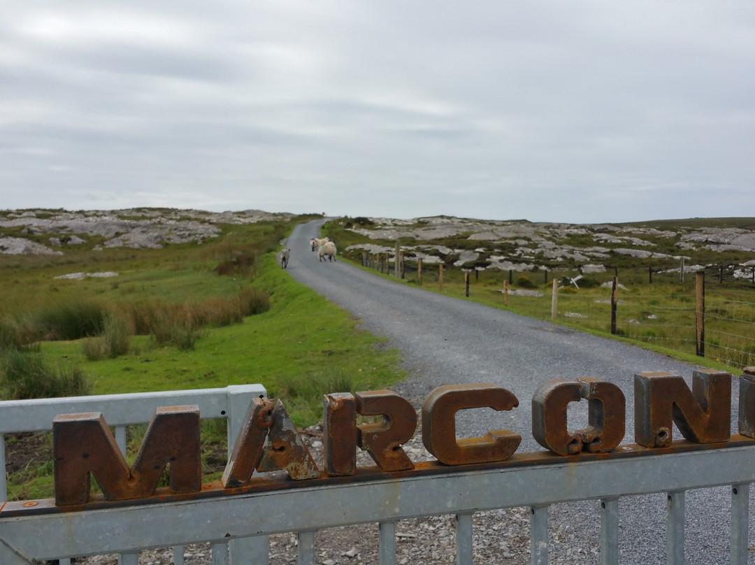 Marconi Station景点图片