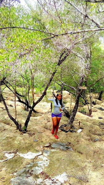 Talabong Mangrove Park景点图片