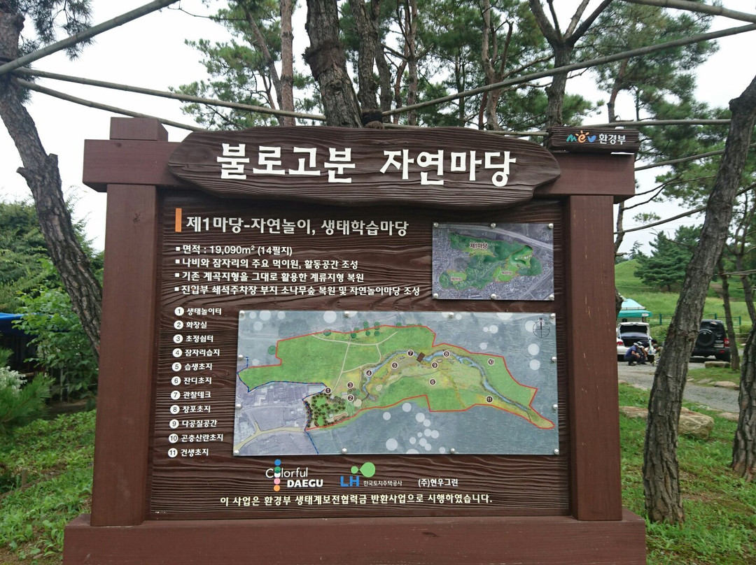 Bullodong Ancient Tomb Park-大邱必去景点