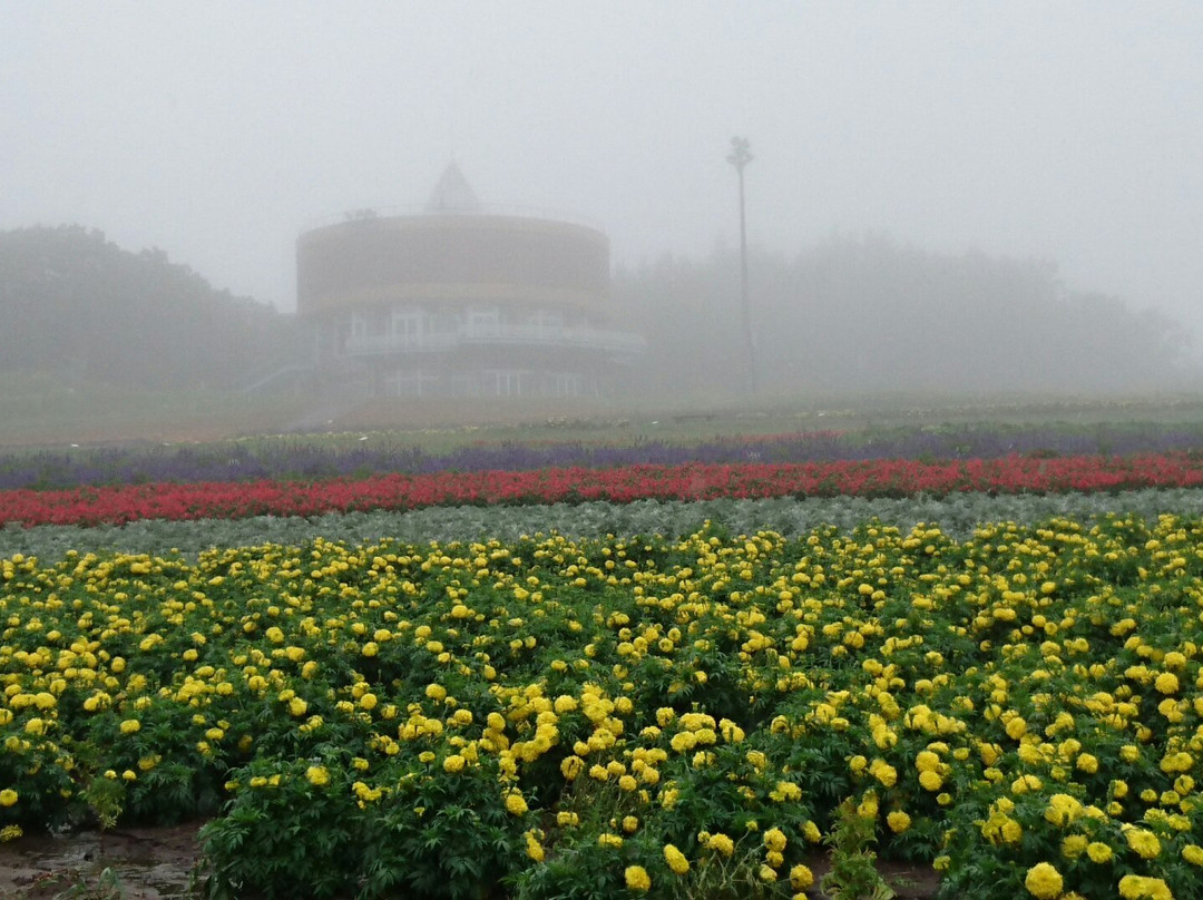 Abashiri  Lakeview Ski Resort-网走市必去景点