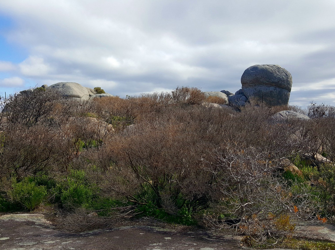 Stony Hill & Peak Head-奥尔巴尼必去景点