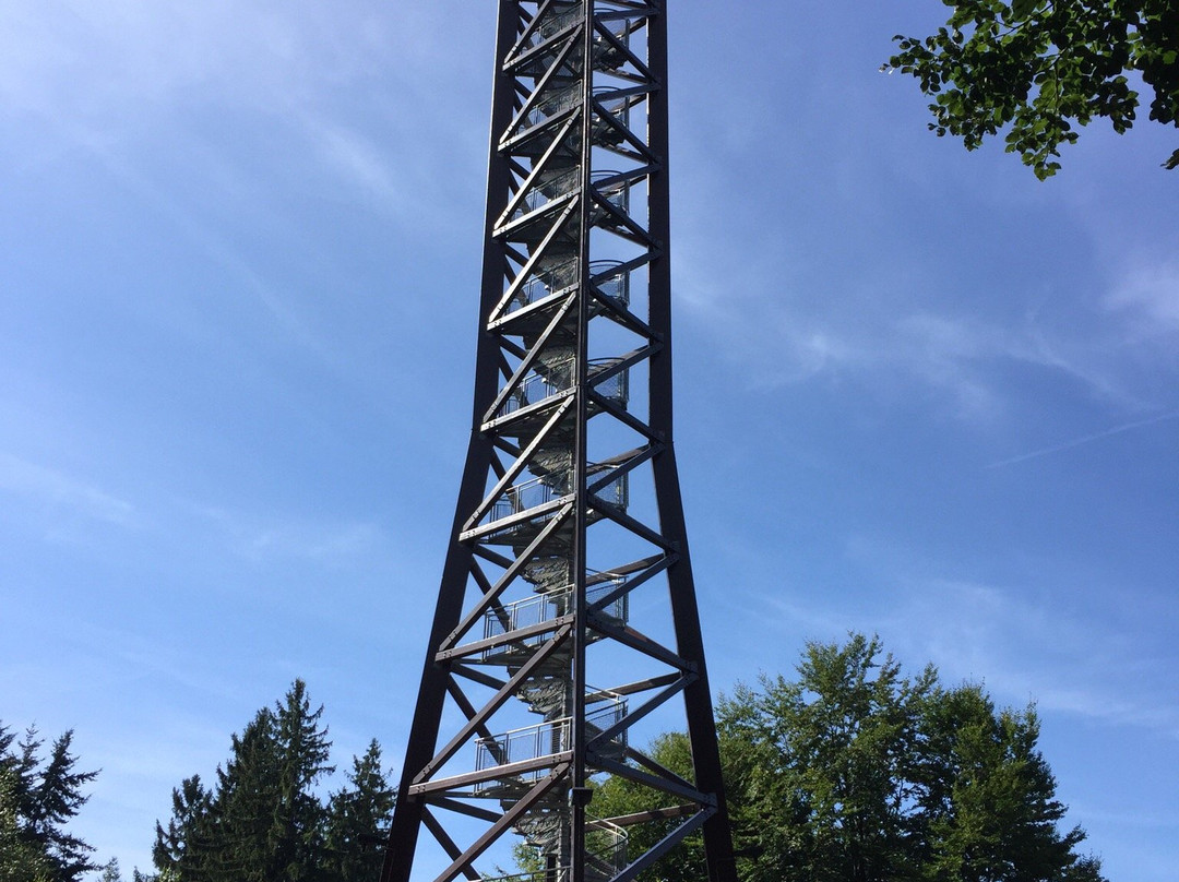 Teltschikturm-维尔黑尔姆斯费尔德必去景点