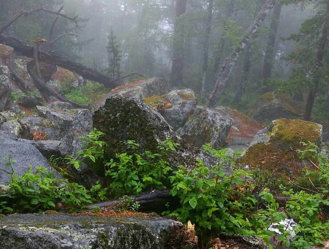 Kokshetau (Sinyukha) Mountain-Shhuchinsk必去景点