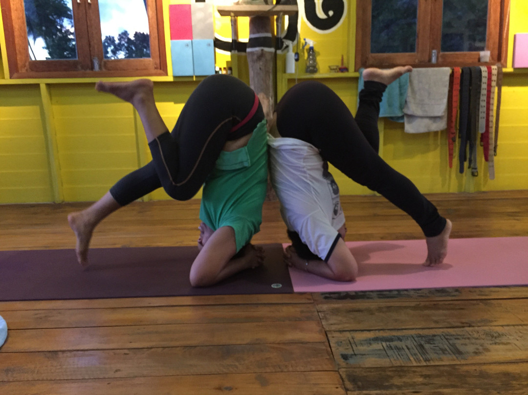 Yoga Essential School-Taling Ngam必去景点