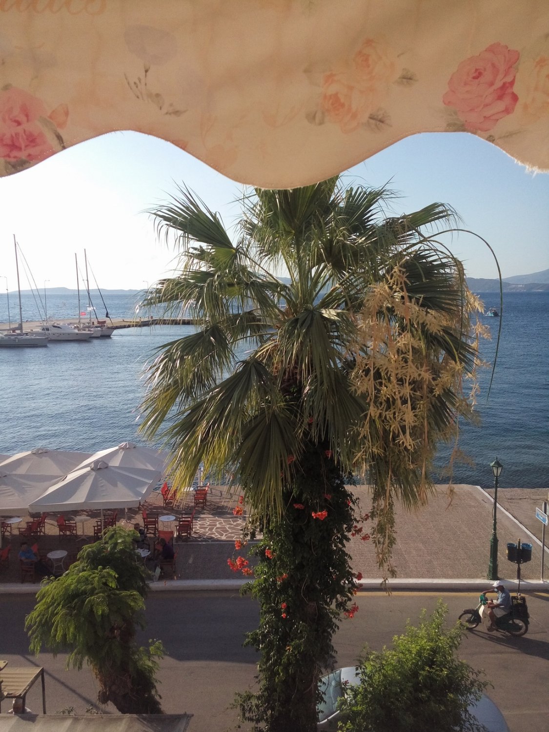Dimitra Pension-酒店景观