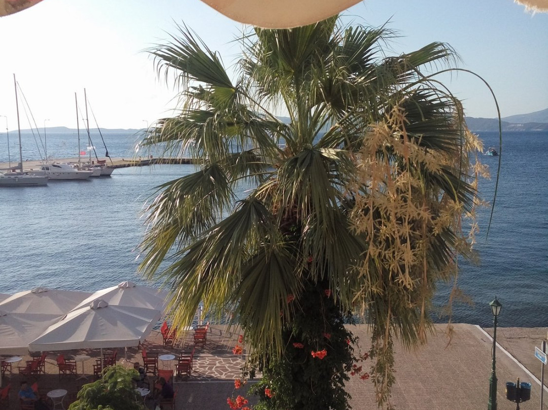 Agios Georgios酒店住宿-Dimitra Pension