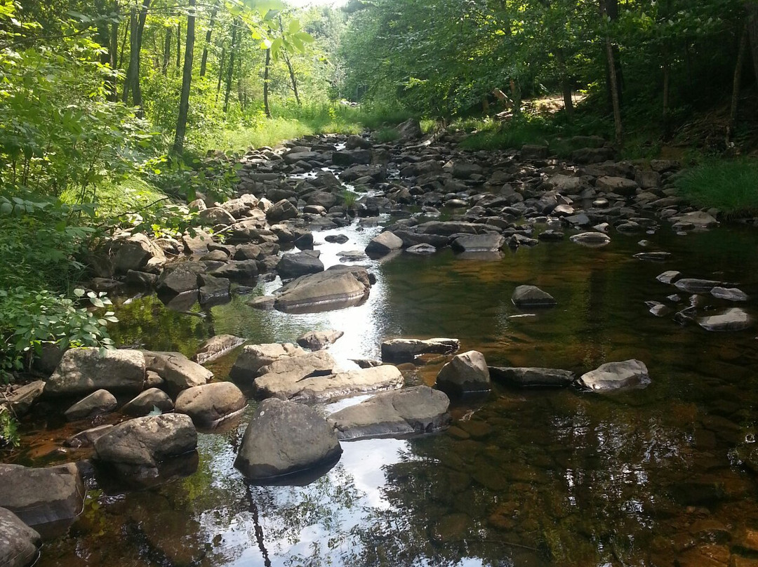 Parc des Cascades-Rawdon必去景点