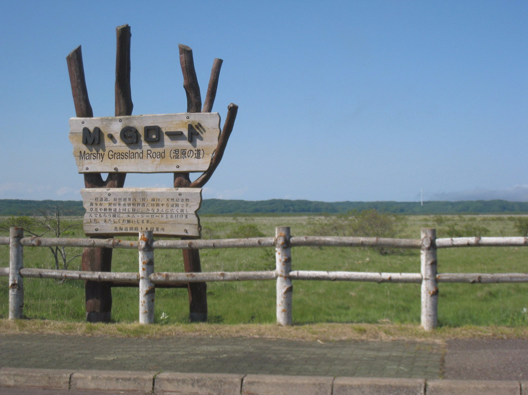 甘地路-滨中町必去景点