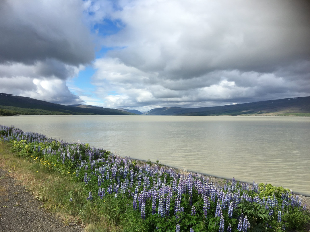 Lagarfljot-埃伊尔斯塔济必去景点