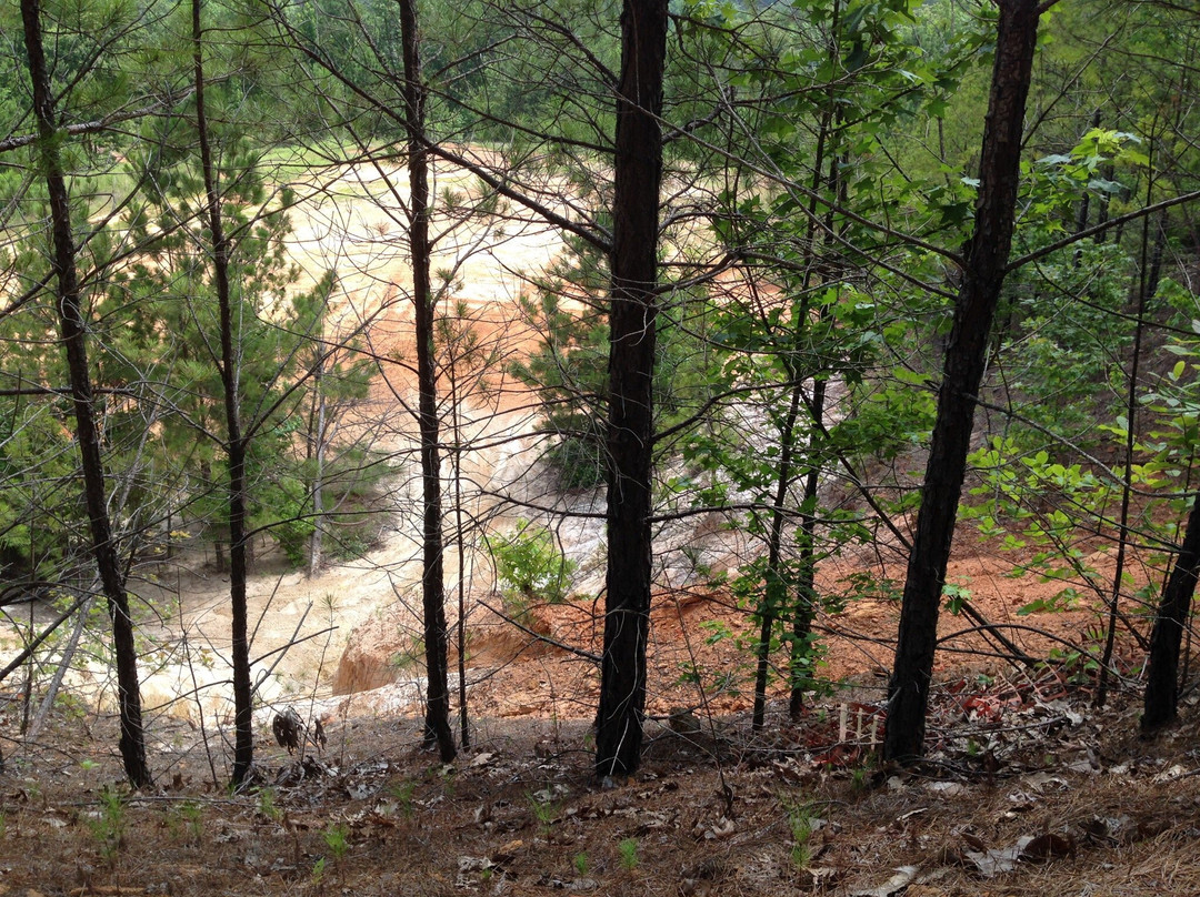 Gilmer旅游攻略图片