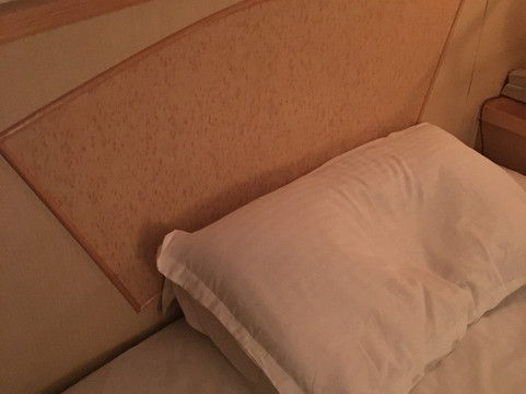 中山大学荣光堂酒店主图