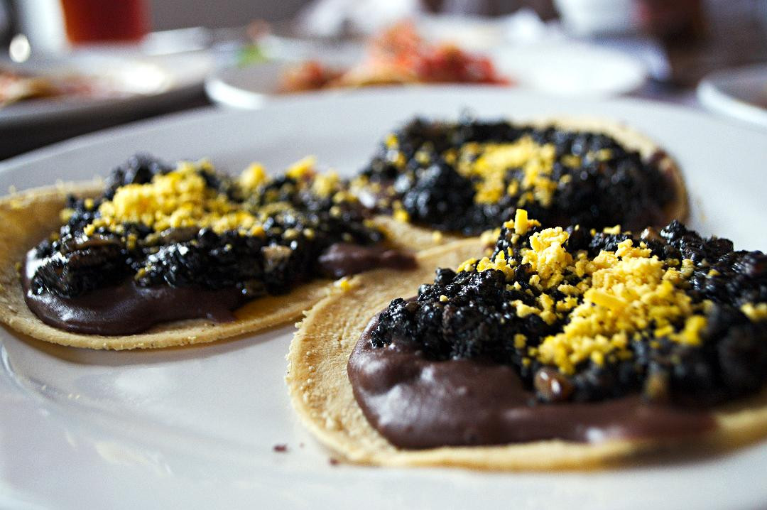 El 9 Yucateco Jardines de la Hacienda