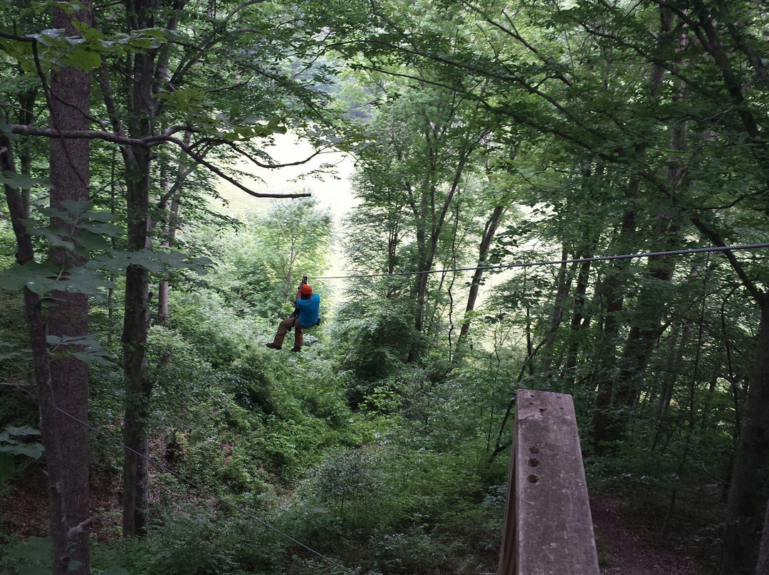 Carolina Ziplines景点图片