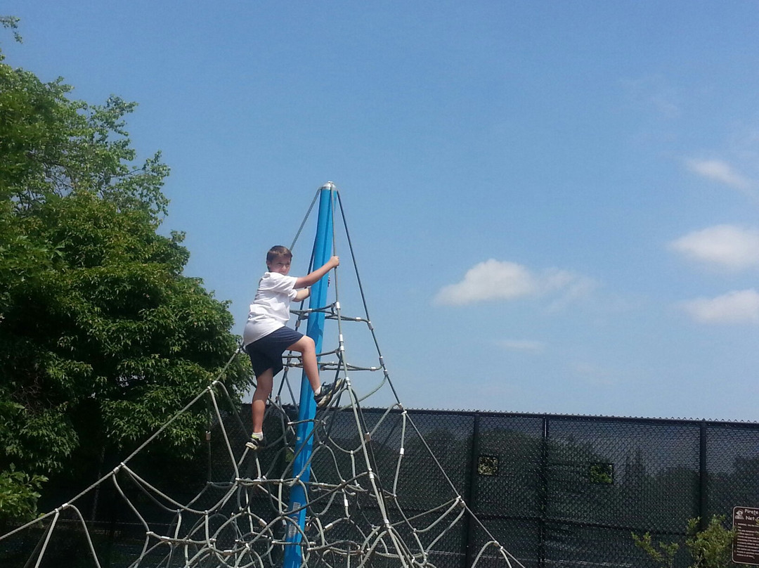 Pirate's Cove Children's Theme Park-埃尔克格罗夫村必去景点