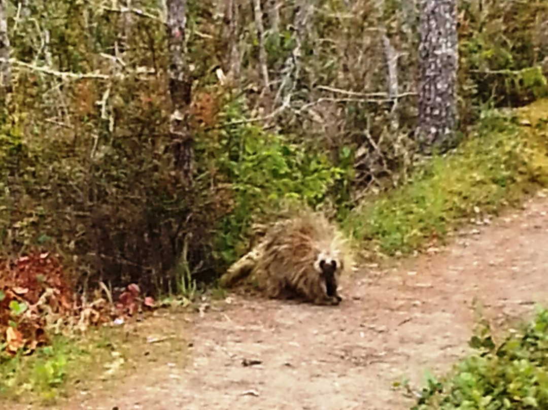 Leadbetter Point State Park-Oysterville必去景点