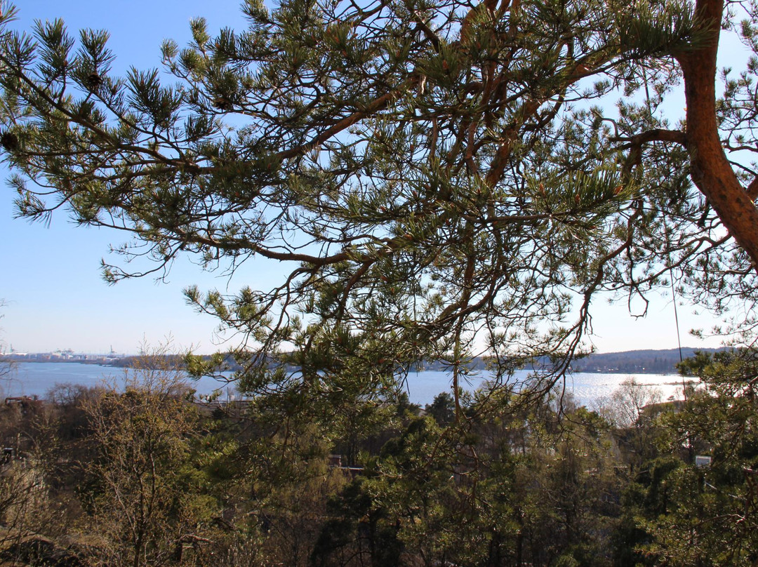 Haukkavuori Lookout Tower-科特卡必去景点