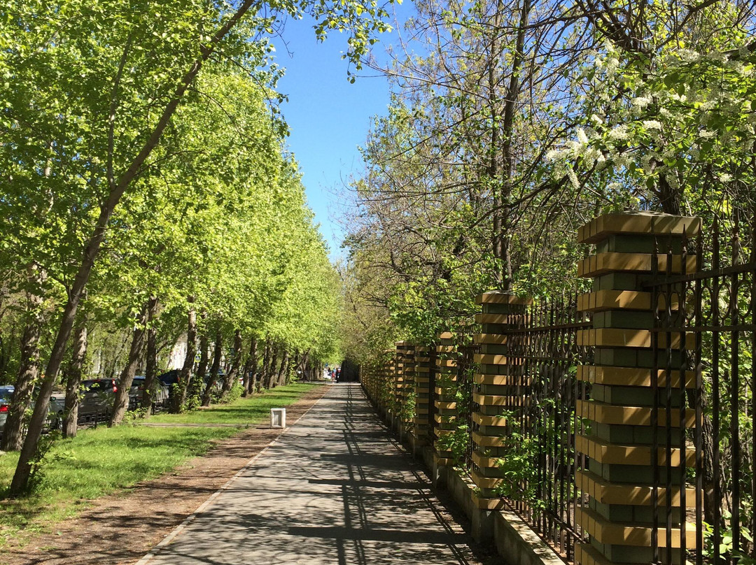 Park Green Grove景点图片