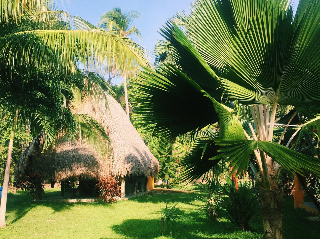 El Ranchito 冲浪营地