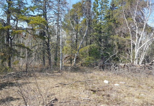 Kettle Stones Provincial Park-Birch River必去景点