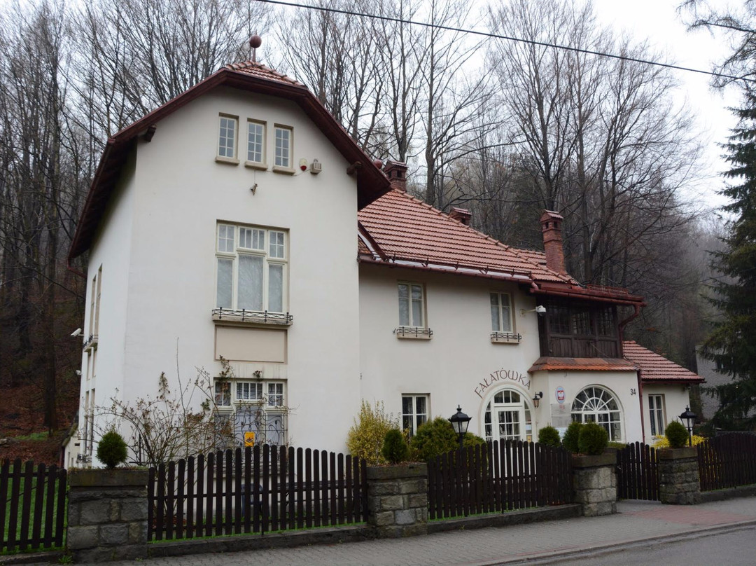 The Historical Museum in Bielsko-Biała Fałatówka景点图片