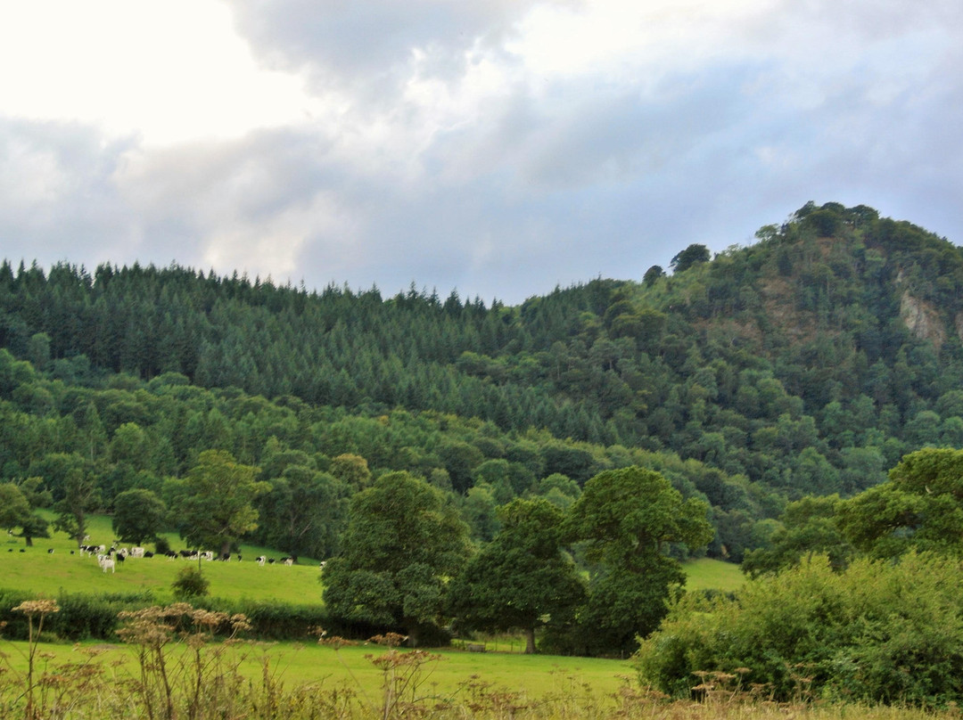 Brimford House主图