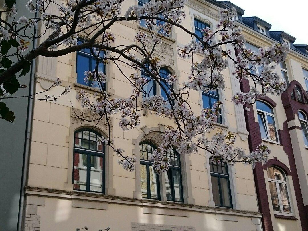 Haus Der FrauenGeschichte-波恩必去景点