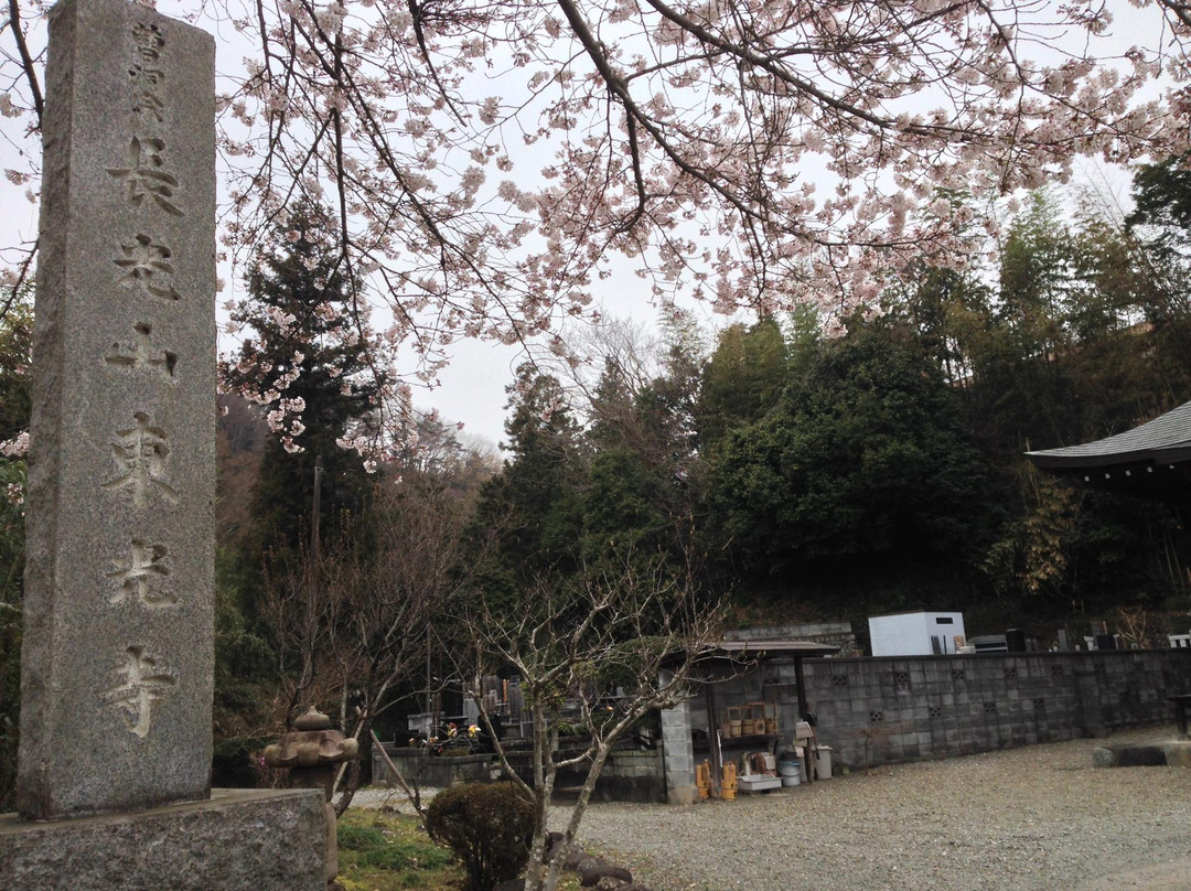 Tokoji Temple-日之出町必去景点