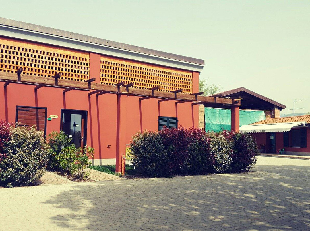 Agriturismo Bini
