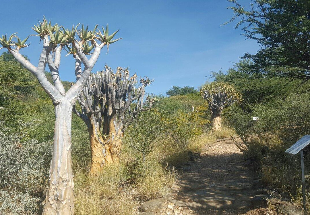温德和克旅游景点-National Botanic Garden of Namibia