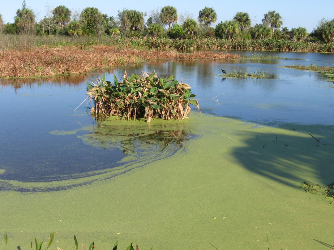 Loxahatchee Slough Natural Area-棕榈滩花园必去景点