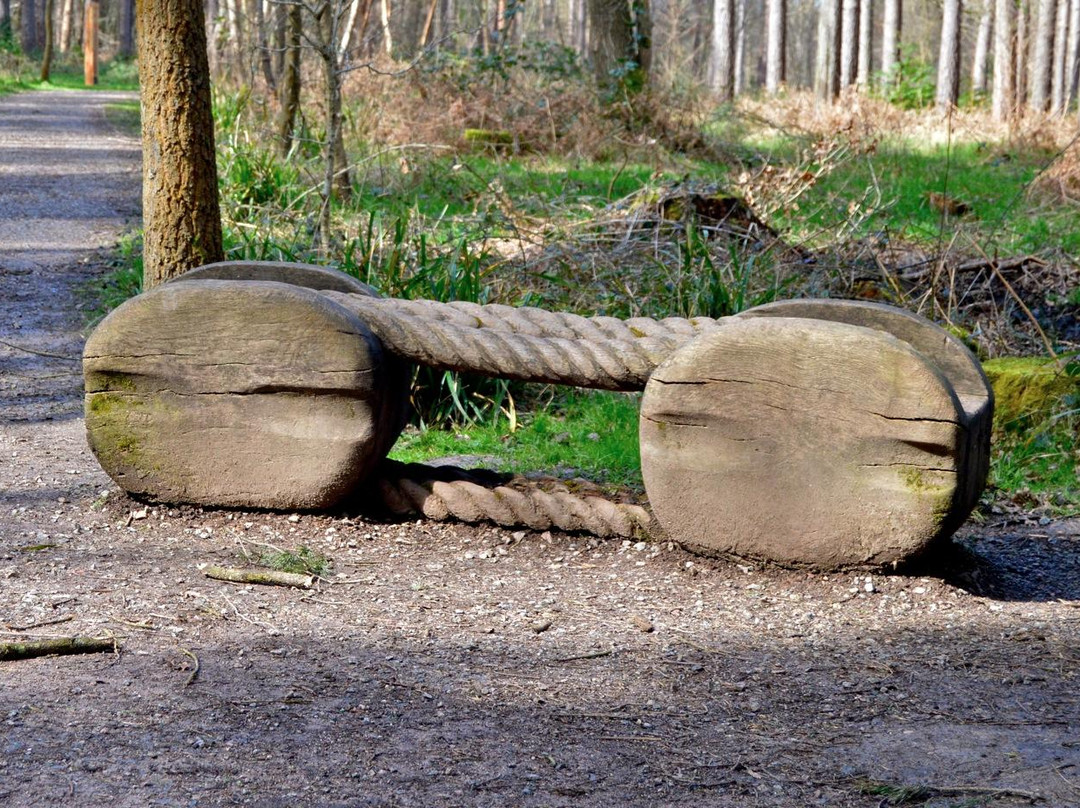 Sculpture Trail景点图片