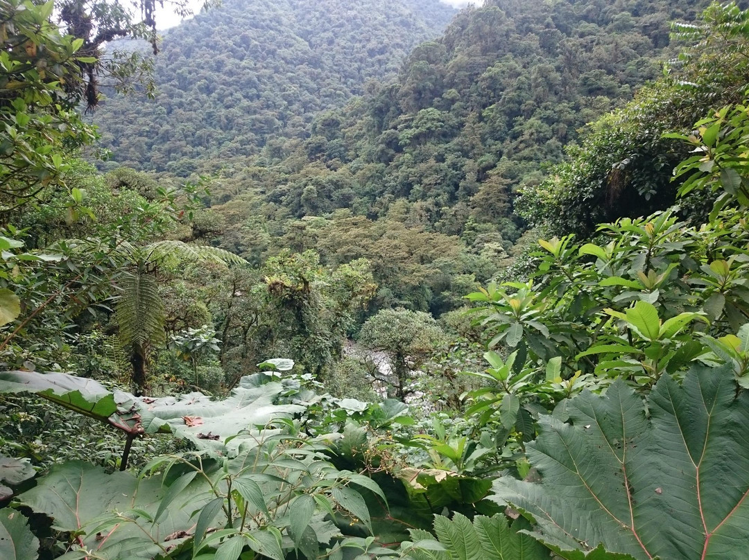 Parque Nacional Tapantí Macizo de la Muerte景点图片