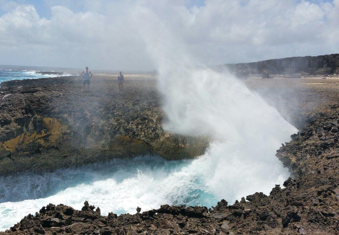 Suplado-Washington-Slagbaai National Park必去景点