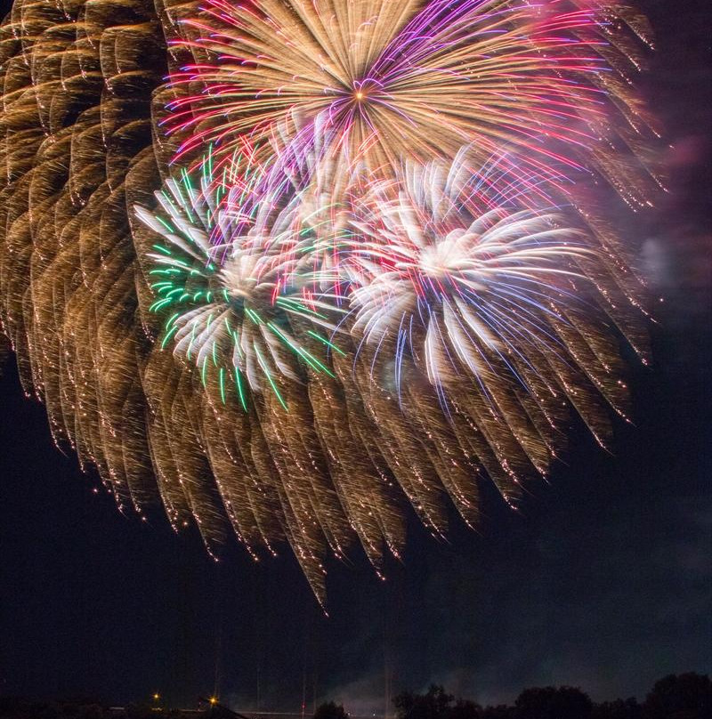 Gifu Shimbun Ogaki Fireworks景点图片