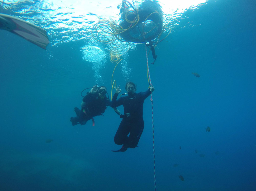 Valentine scuba divers景点图片