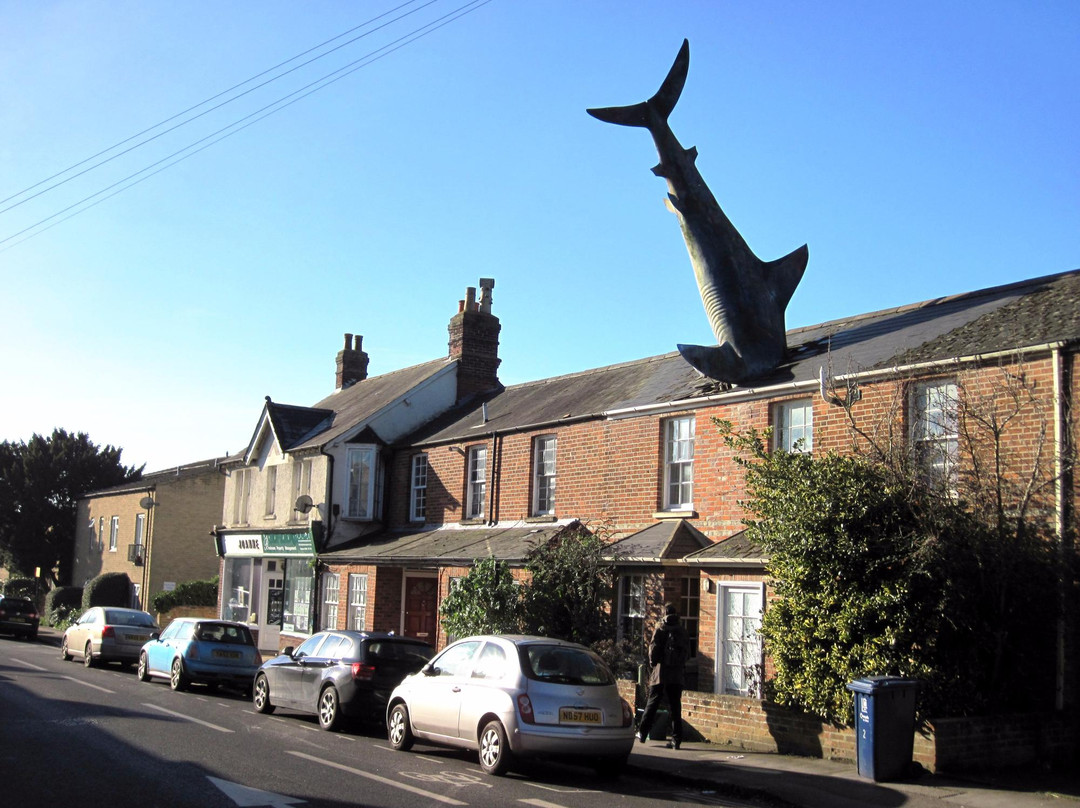 Headington Shark景点图片