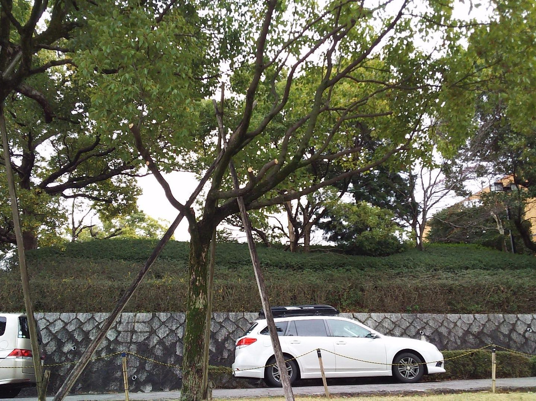 Handa City Library-半田市必去景点