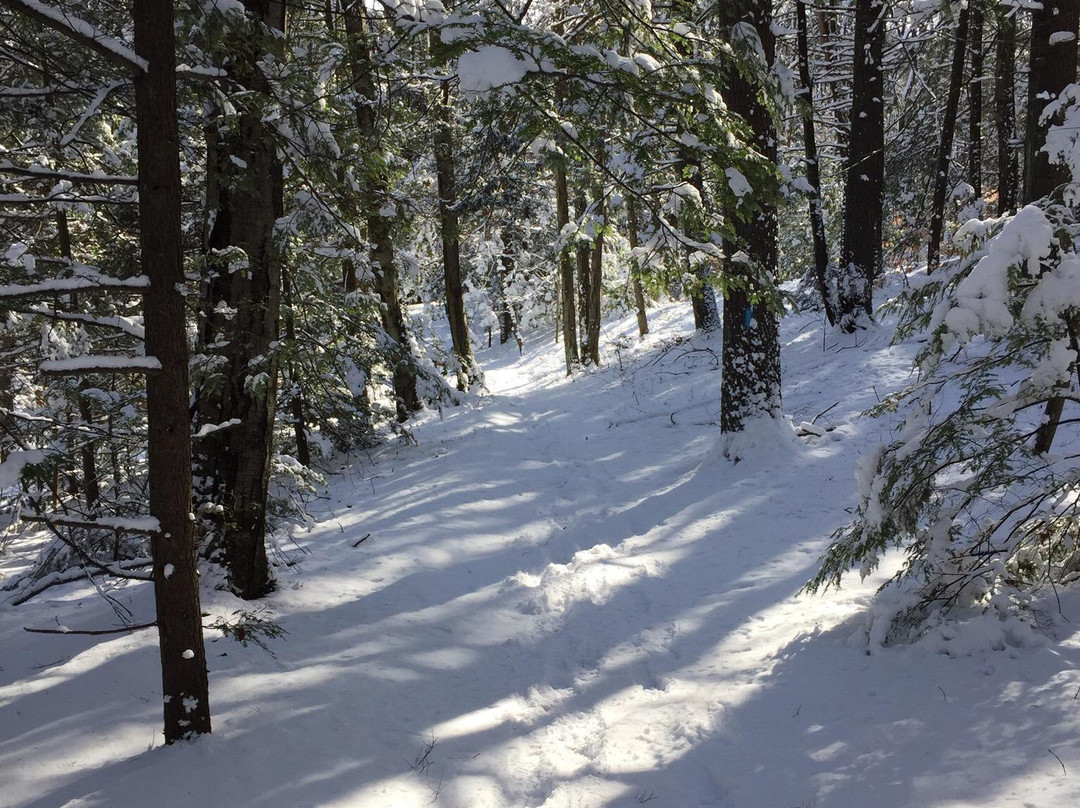 The Notch-艾姆赫斯特必去景点