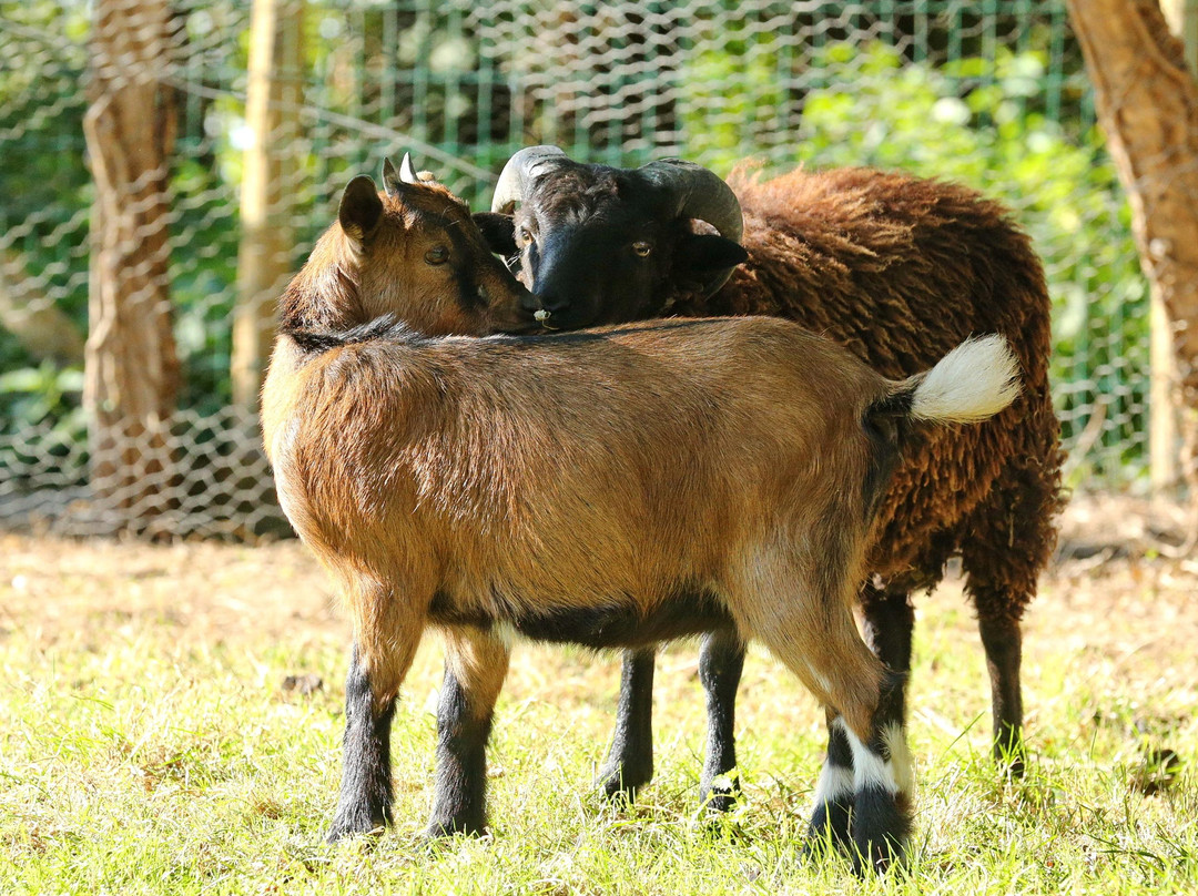 Agri'KIDS景点图片