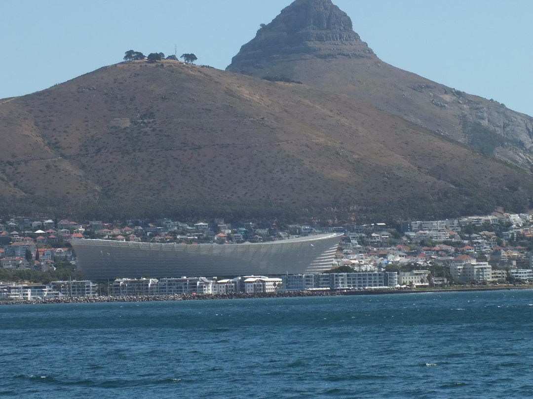 Taste the Cape Travel & Tours - Day Tours-开普敦中心区必去景点