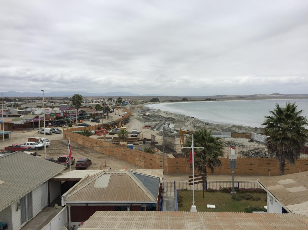 Playa Grande-Tongoy必去景点