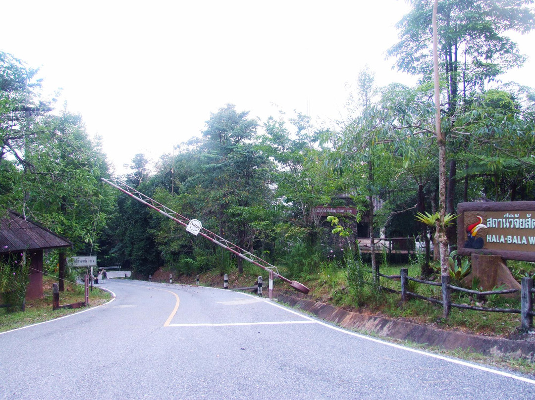 Hala-Bala Wildlife Sanctuary景点图片
