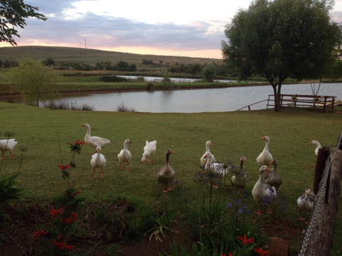 Klitz-Gras Chalets & Chapel主图